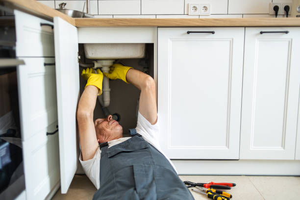 Best Clogged Drain Plumber  in Fort Bliss, TX